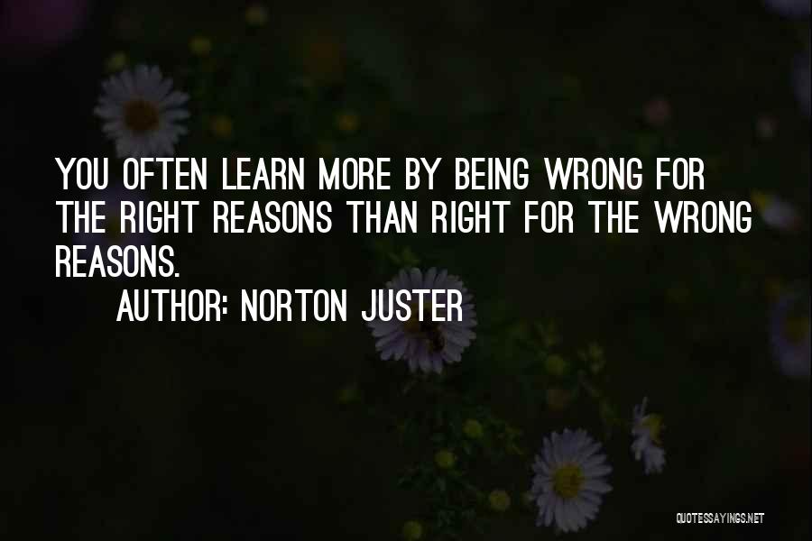 Norton Juster Quotes 833798