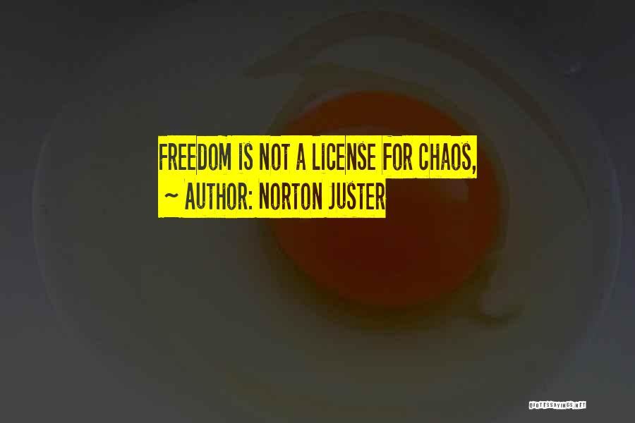 Norton Juster Quotes 860179