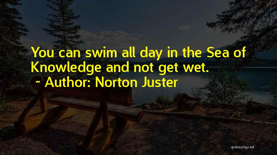 Norton Juster Quotes 906019