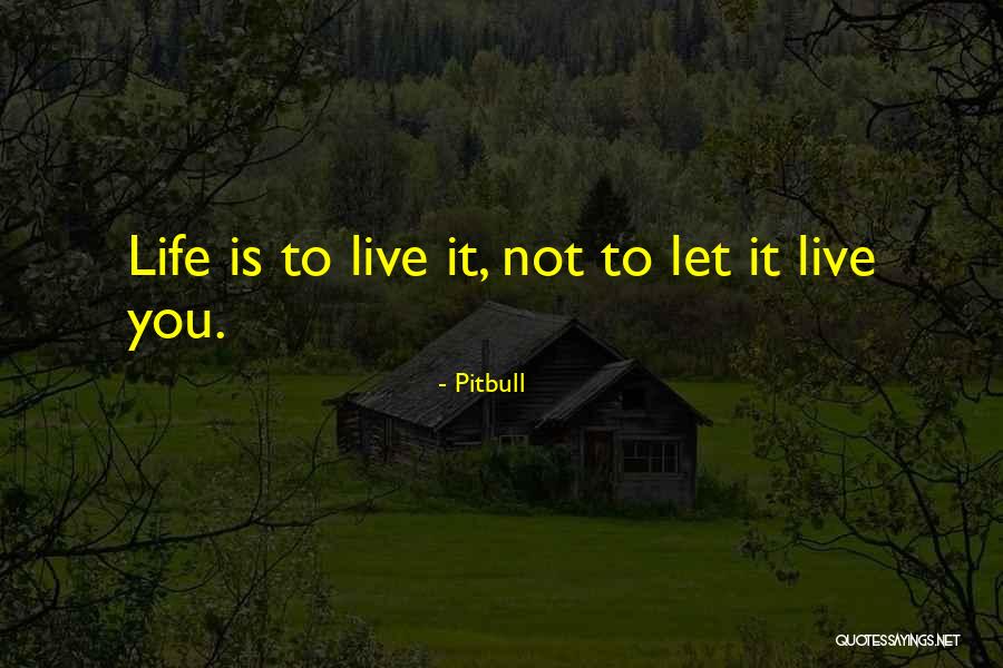 Norveski Kralj Quotes By Pitbull