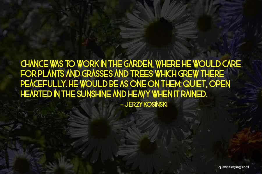 Norvig Artificial Intelligence Quotes By Jerzy Kosinski Norvig Artificial Intelligence Quotes By Jerzy Kosinski
