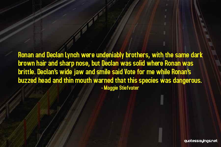 Nose And Smile Quotes By Maggie Stiefvater Nose And Smile Quotes By Maggie Stiefvater