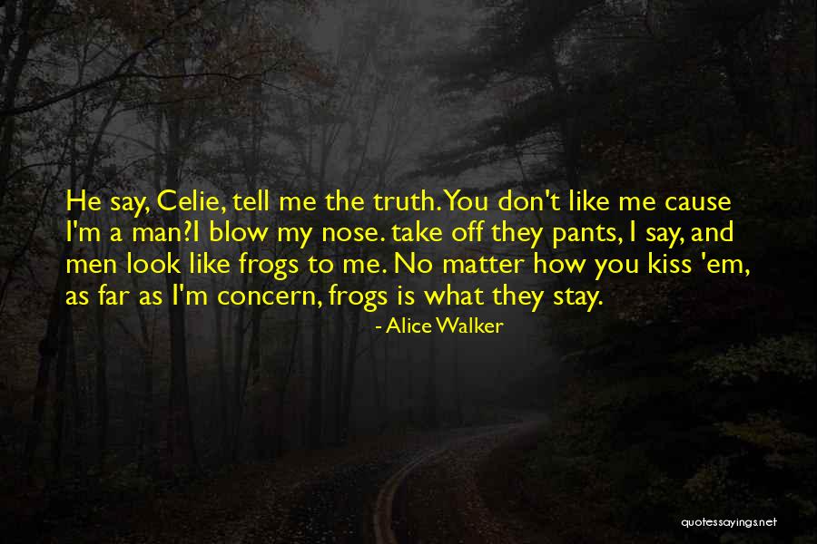 Nose You Look Quotes By Alice Walker Nose You Look Quotes By Alice Walker