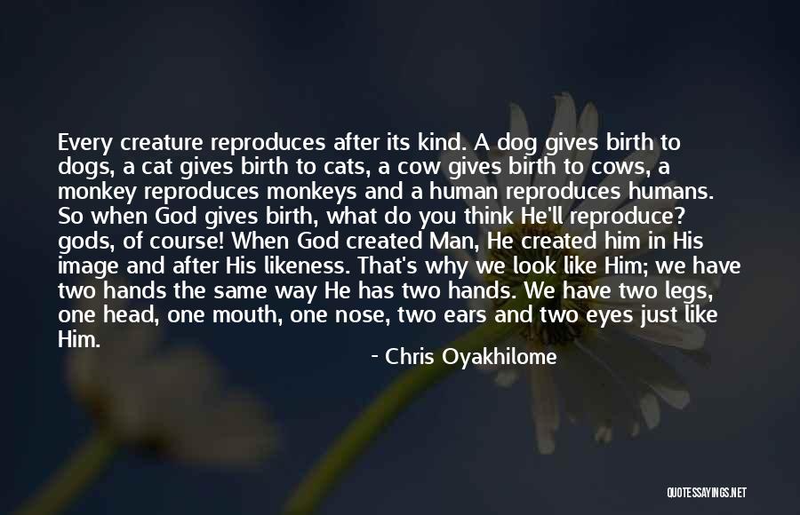 Nose You Look Quotes By Chris Oyakhilome Nose You Look Quotes By Chris Oyakhilome