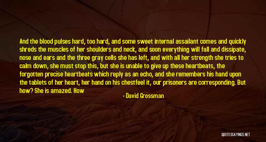 Nose You Look Quotes By David Grossman Nose You Look Quotes By David Grossman