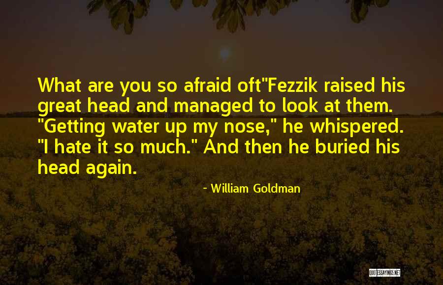 Nose You Look Quotes By William Goldman Nose You Look Quotes By William Goldman