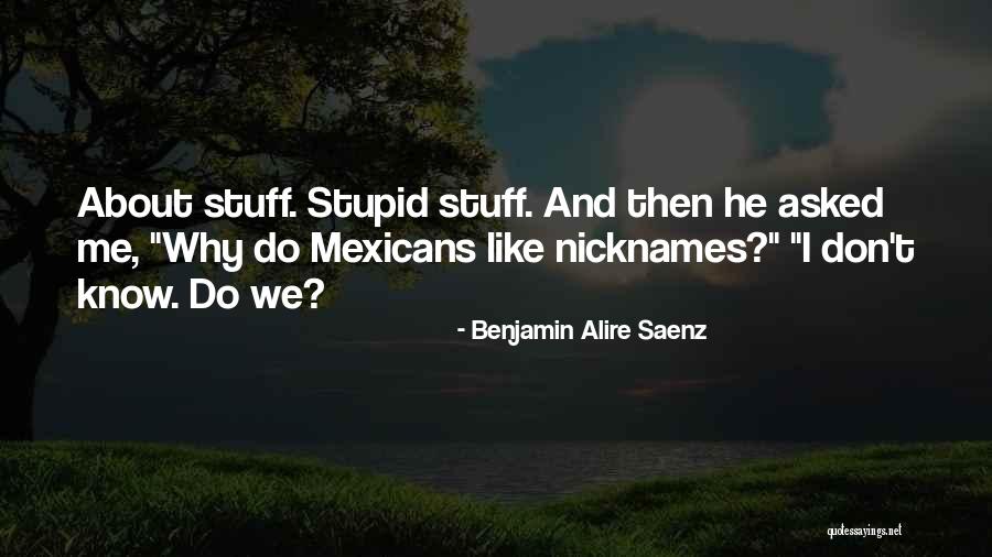 Noseeums Prevention Quotes By Benjamin Alire Saenz Noseeums Prevention Quotes By Benjamin Alire Saenz
