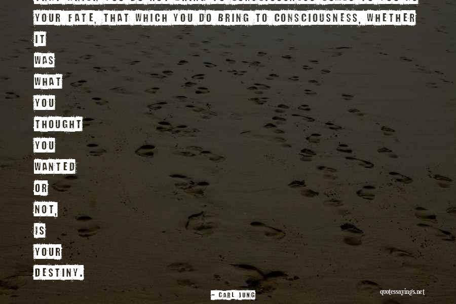 Noseeums Treatments Quotes By Carl Jung Noseeums Treatments Quotes By Carl Jung