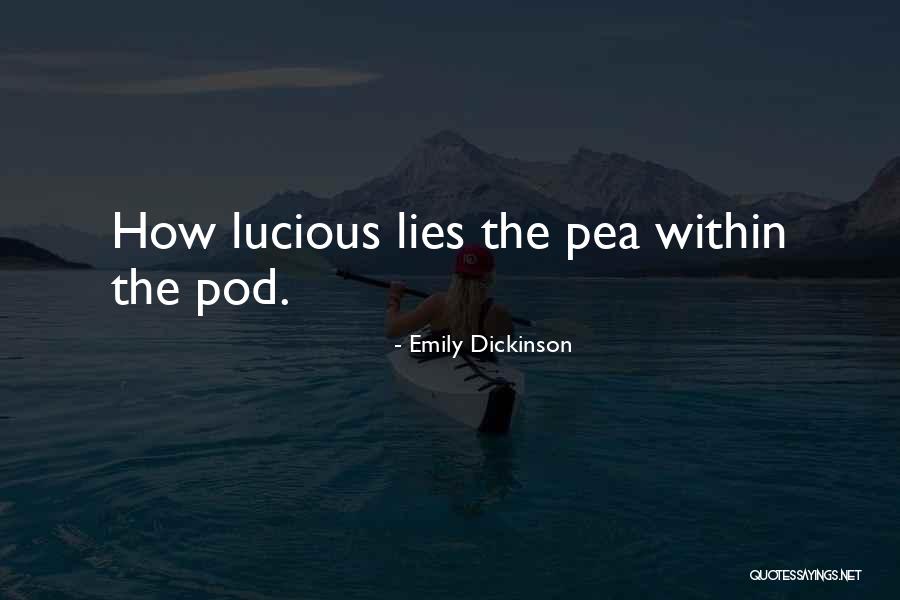 Noseeums Treatments Quotes By Emily Dickinson Noseeums Treatments Quotes By Emily Dickinson