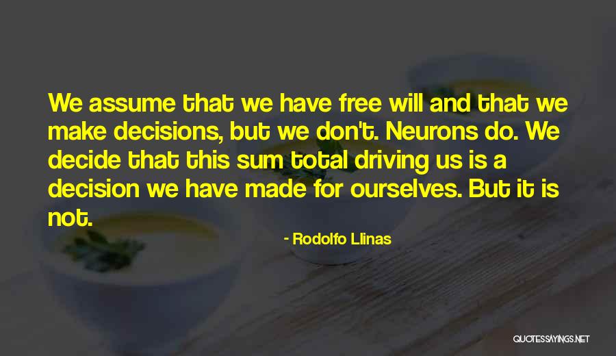Noshia Quotes By Rodolfo Llinas Noshia Quotes By Rodolfo Llinas