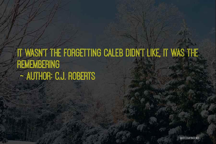 Nosings For Metal Pan Quotes By C.J. Roberts