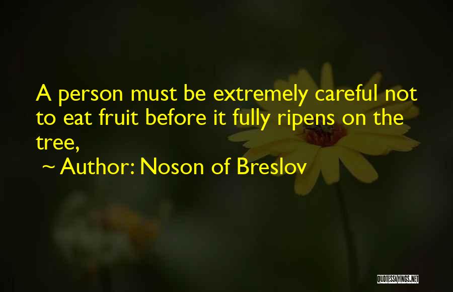 Noson Of Breslov Quotes 1588486