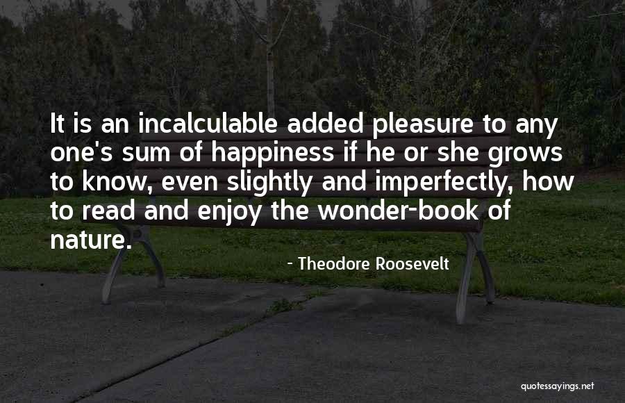 Nosotras In English Quotes By Theodore Roosevelt Nosotras In English Quotes By Theodore Roosevelt