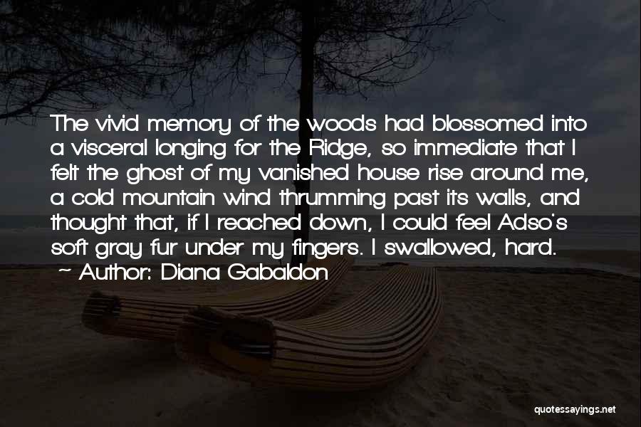 Nostalgia And Memory Quotes By Diana Gabaldon