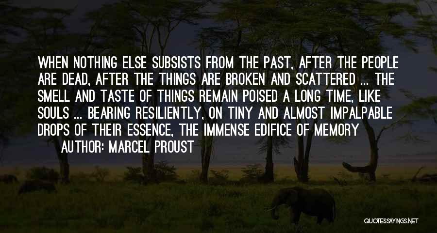 Nostalgia And Memory Quotes By Marcel Proust