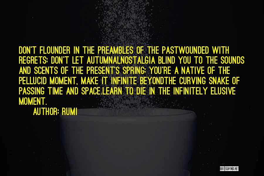 Nostalgia And Time Quotes By Rumi