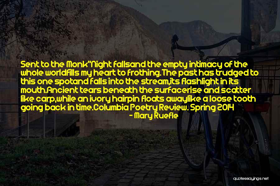 Nostalgique Antiques Quotes By Mary Ruefle Nostalgique Antiques Quotes By Mary Ruefle