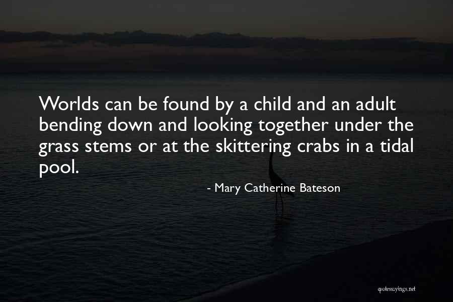Nostrand Ave Quotes By Mary Catherine Bateson Nostrand Ave Quotes By Mary Catherine Bateson