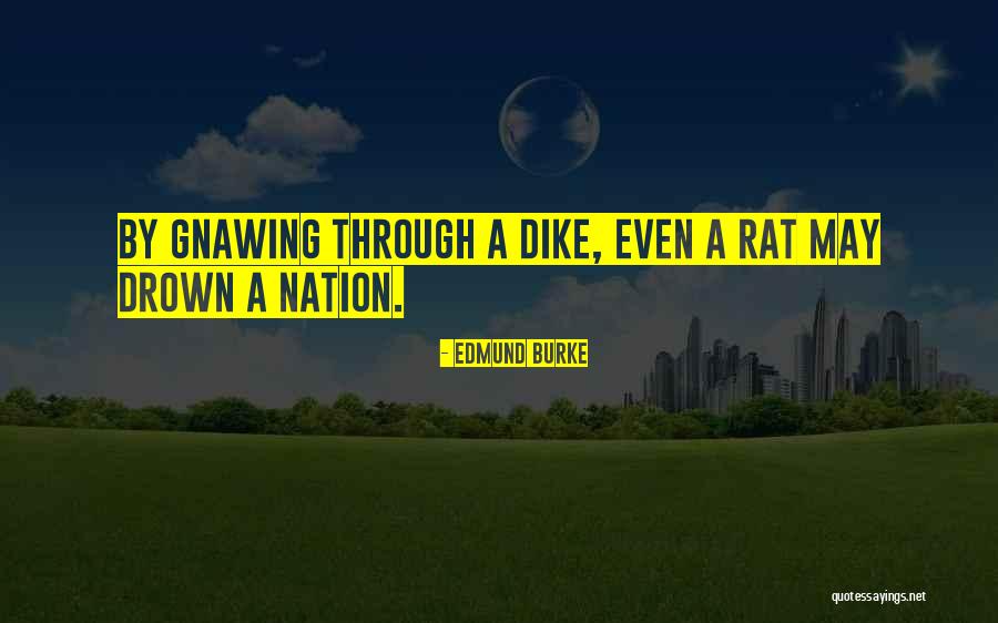 Nostrums Store Quotes By Edmund Burke Nostrums Store Quotes By Edmund Burke