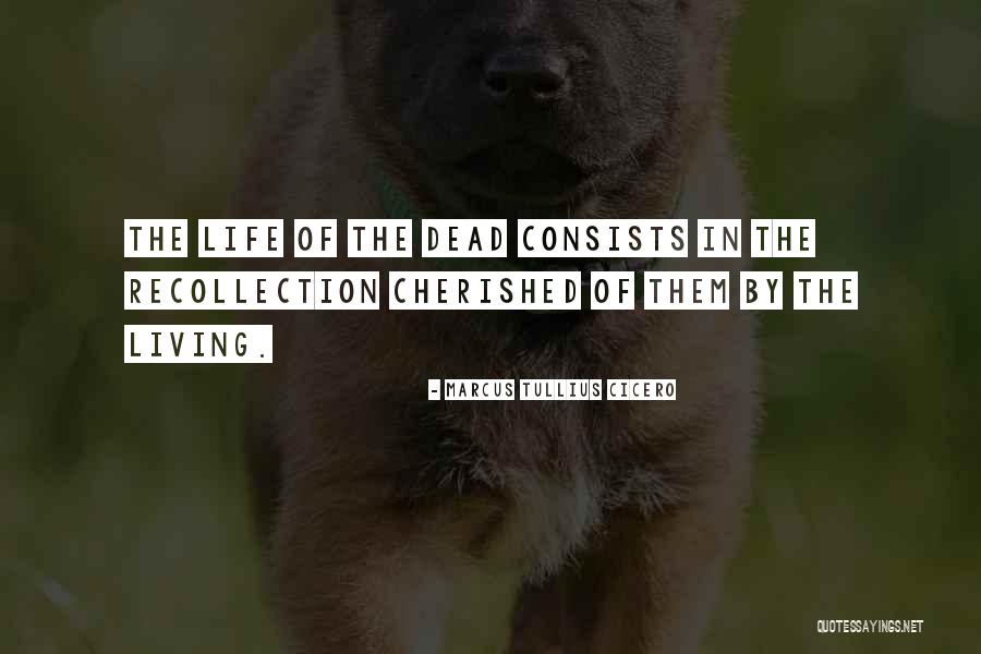 Nosy Family Members Quotes By Marcus Tullius Cicero Nosy Family Members Quotes By Marcus Tullius Cicero