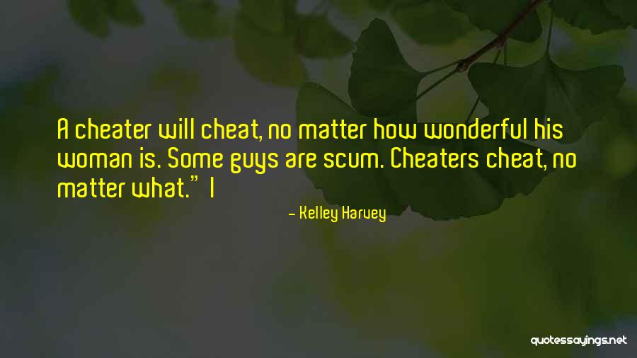 Not A Cheater Quotes By Kelley Harvey