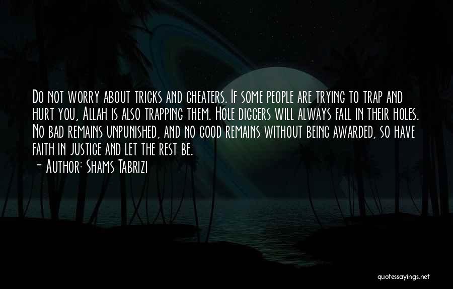 Not A Cheater Quotes By Shams Tabrizi