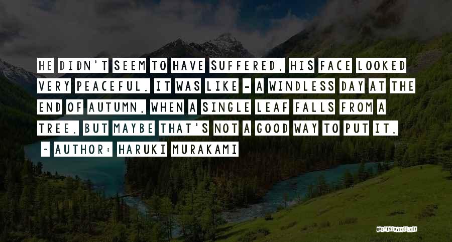 Not A Good Day Quotes By Haruki Murakami