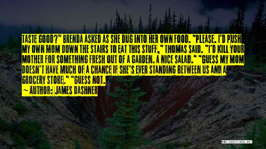 Not A Good Mom Quotes By James Dashner