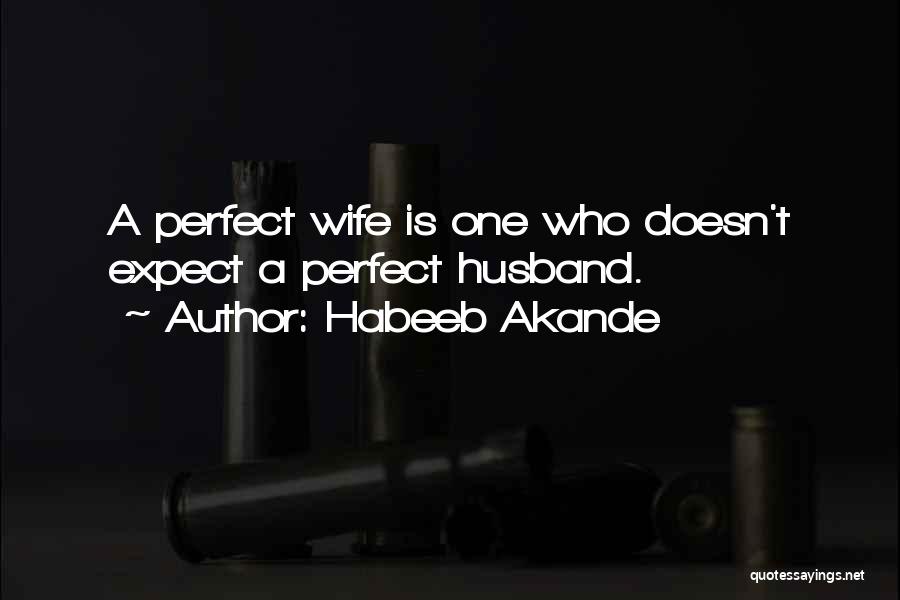 Not A Perfect Wife Quotes By Habeeb Akande