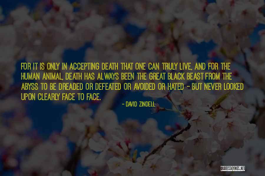 Not Accepting Death Quotes By David Zindell