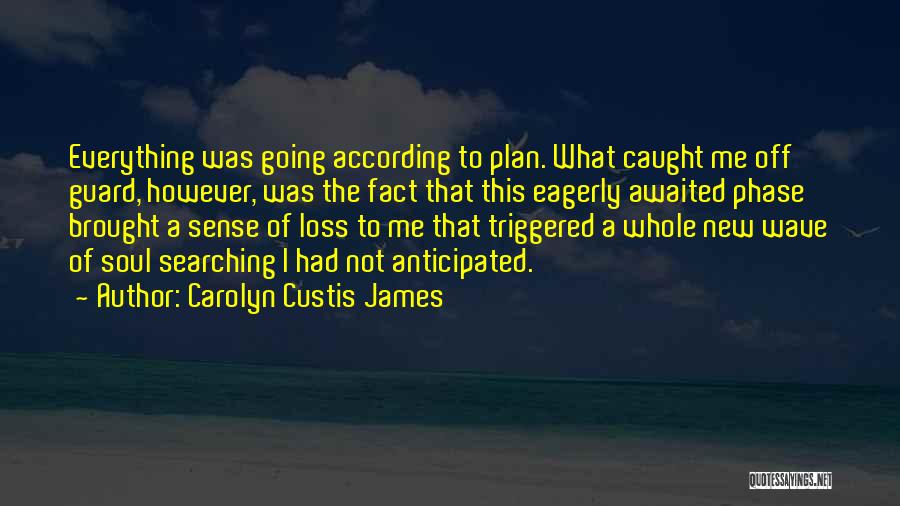 Not According To Plan Quotes By Carolyn Custis James