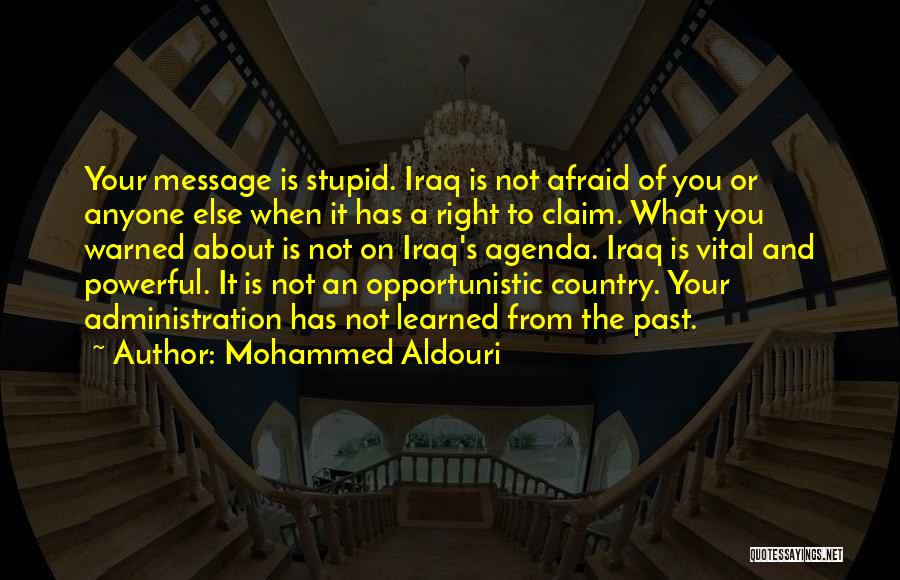 Not Afraid Of Anyone Quotes By Mohammed Aldouri
