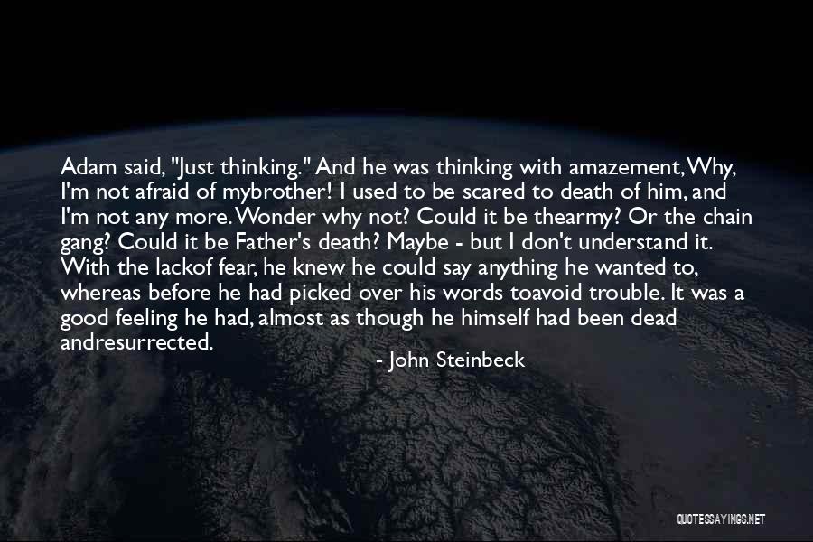 Not Afraid Of Anything Quotes By John Steinbeck