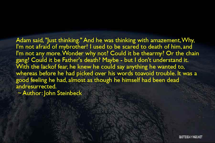 Not Afraid Of Death Quotes By John Steinbeck