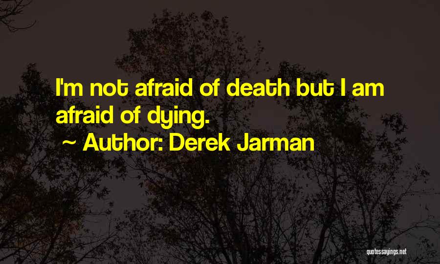 Not Afraid Of Dying Quotes By Derek Jarman