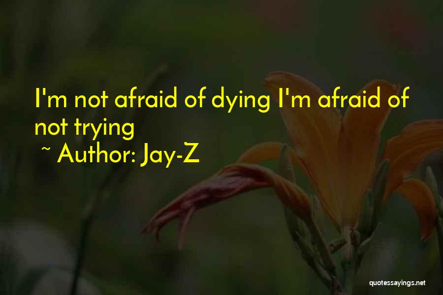 Not Afraid Of Dying Quotes By Jay-Z