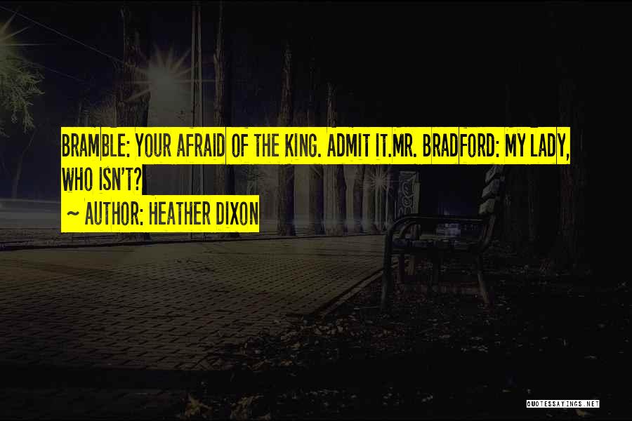 Not Afraid To Admit It Quotes By Heather Dixon