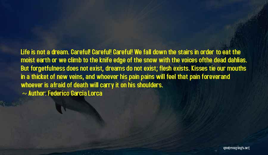 Not Afraid To Fall Quotes By Federico Garcia Lorca