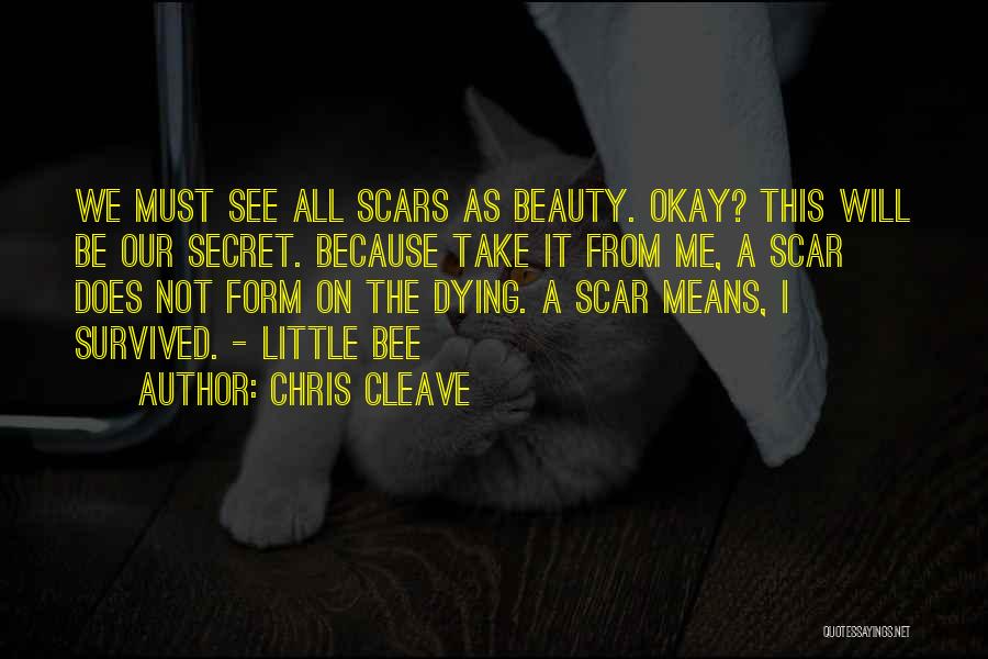 Not All Beauty Quotes By Chris Cleave