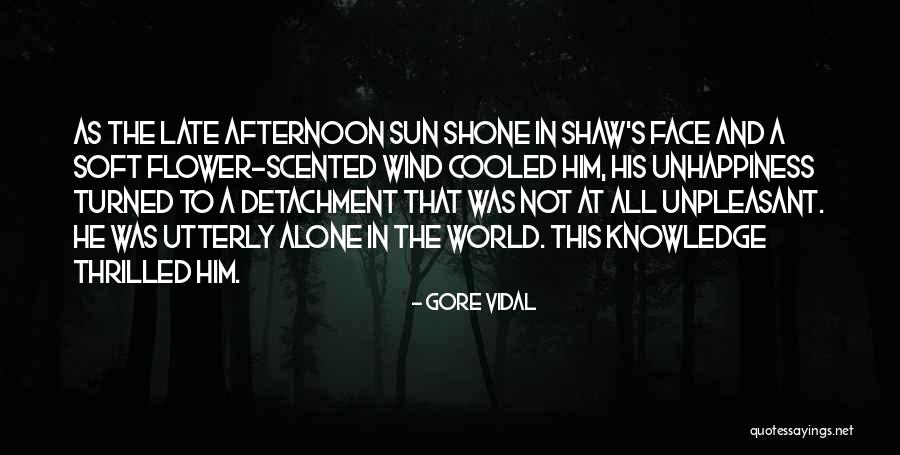 Not Alone At All Quotes By Gore Vidal Not Alone At All Quotes By Gore Vidal