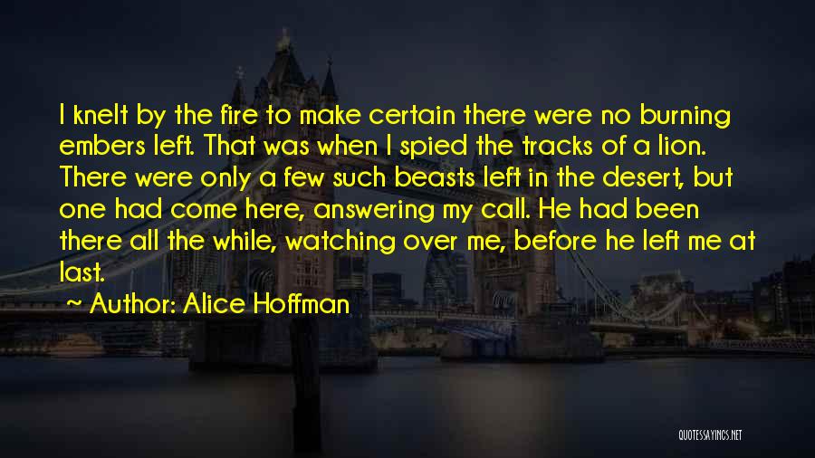 Not Answering Call Quotes By Alice Hoffman