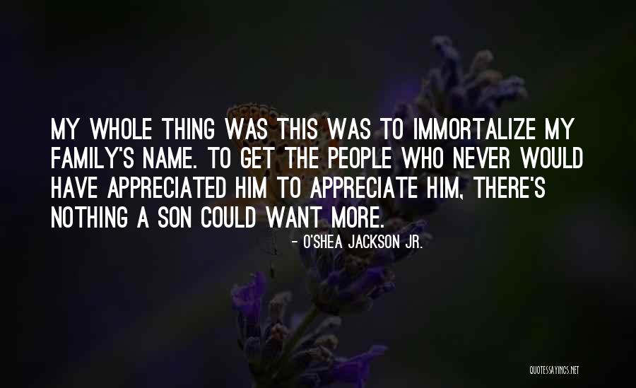 Not Appreciated By Family Quotes By O'Shea Jackson Jr. Not Appreciated By Family Quotes By O'Shea Jackson Jr.