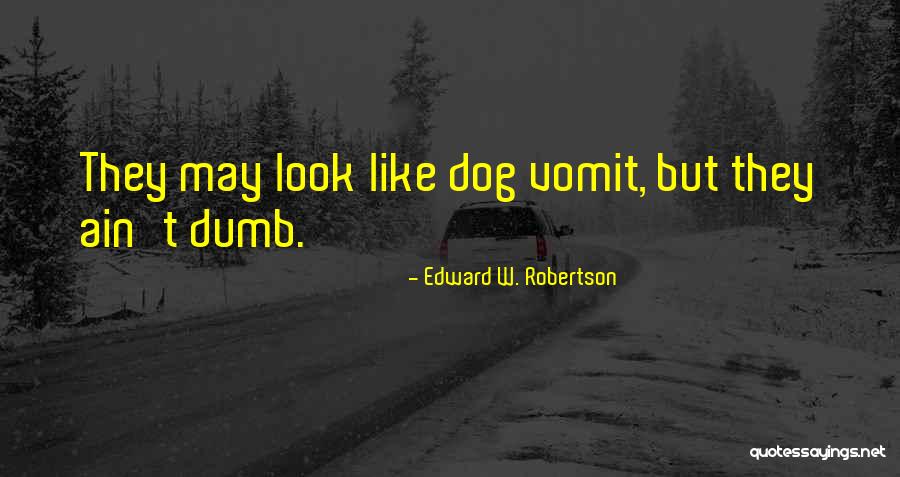 Not As Dumb As I Look Quotes By Edward W. Robertson