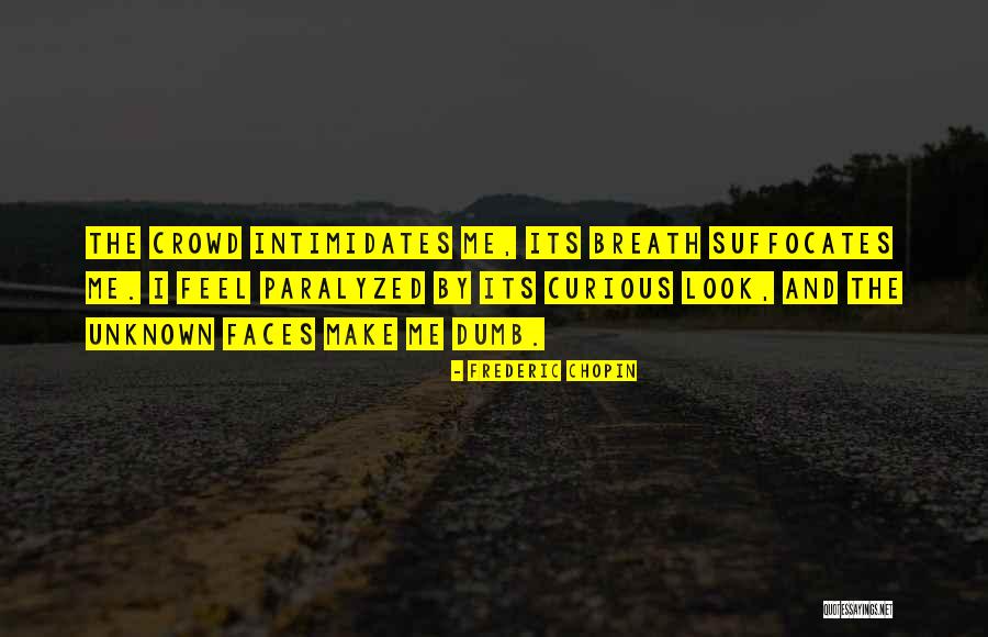 Not As Dumb As I Look Quotes By Frederic Chopin Not As Dumb As I Look Quotes By Frederic Chopin