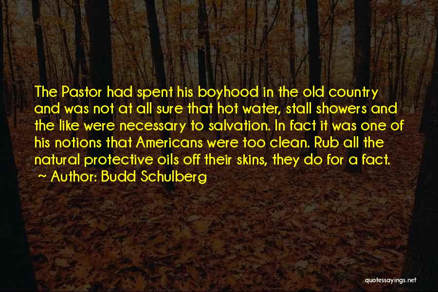 Not At All Quotes By Budd Schulberg