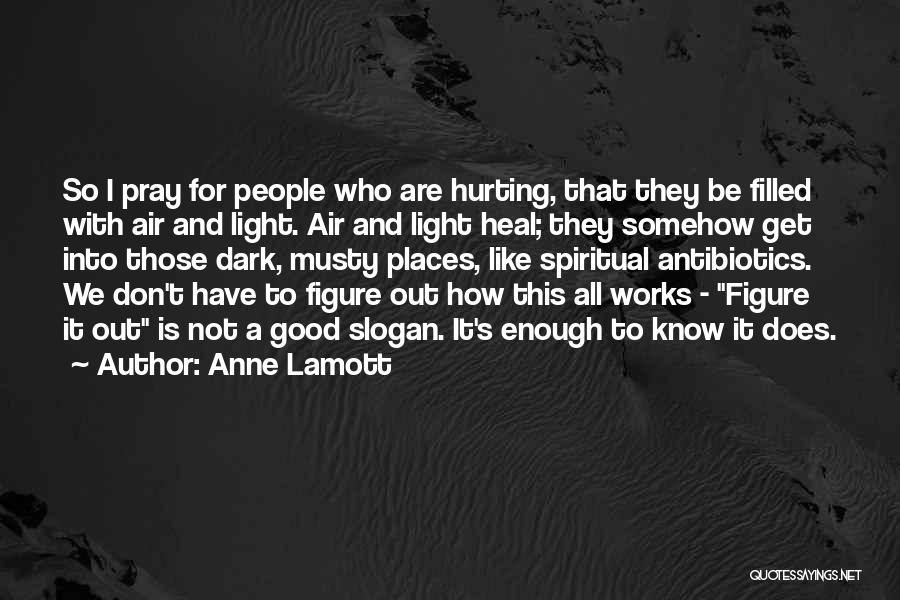 Not Be Good Enough Quotes By Anne Lamott