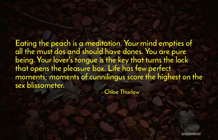 Not Being A Perfect Lover Quotes By Chloe Thurlow Not Being A Perfect Lover Quotes By Chloe Thurlow