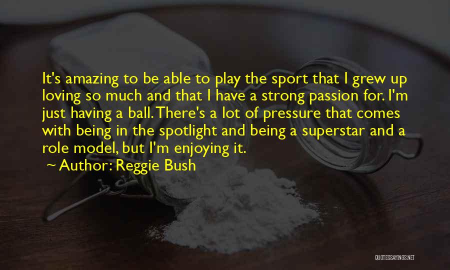 Not Being A Role Model Quotes By Reggie Bush