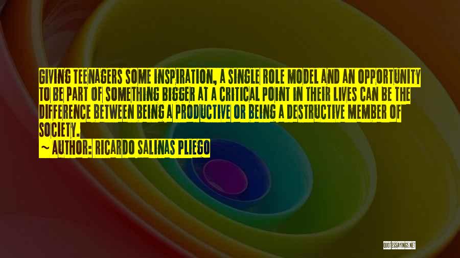 Not Being A Role Model Quotes By Ricardo Salinas Pliego