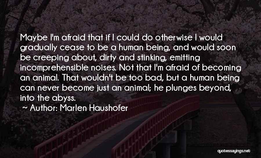 Not Being Afraid Quotes By Marlen Haushofer